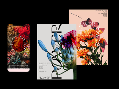 Flower Power branding flower typography ui ux website