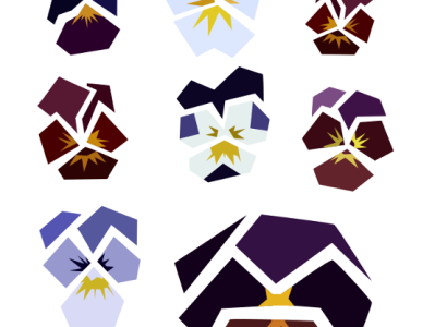 geometric pansies