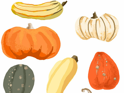 squash part one flat colour food gimp illustration rough variety