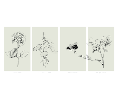 Landscaping Brand Illustrations botanical art brand identity hand drawn illustraion