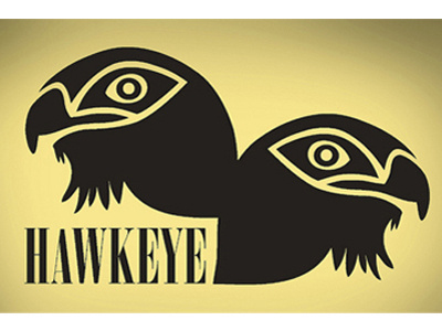 Hawk bird eye hawk logo pair