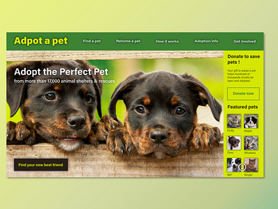 Homepage for a pet adoption company