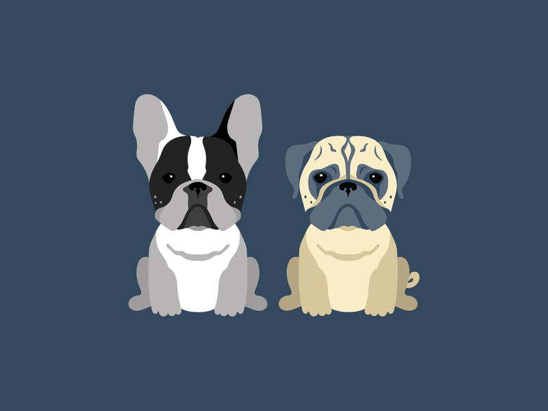 Dogs Illustration by Anna Stoeva on Dribbble