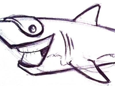 Shark illustration shark