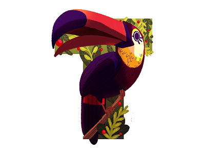 T Is For Toucan