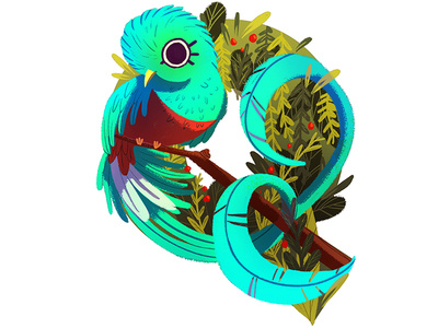 Q Is For Quetzal 2d art adobe photoshop animals bird birds character design design digital 2d digital art digital illustration fauna flora green illustration lettering nature plants q quetzal