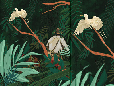 Jungle illustration jungle procreate