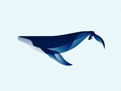 Humpback Whale animal blue fauna illustration illustrator ocean vector whale