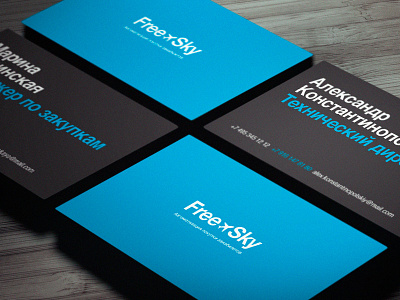 FreeSky branding logo