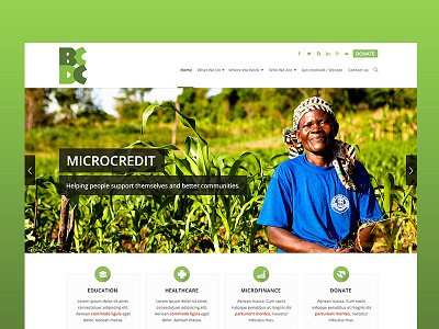 Buseesa Community Development Centre - Web Design