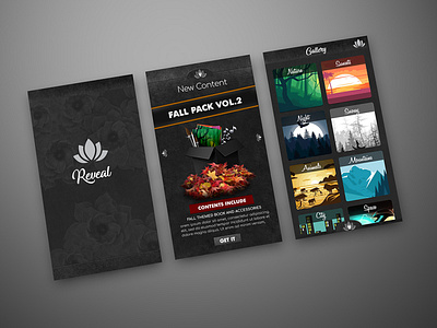 Reveal Mobile App design ui ux