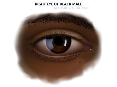 Vector eye of black adult afro american black brown closeup dark eye gradient mesh painting realistic vector