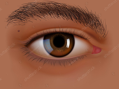 Vector Hispanic eye