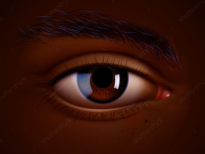 Vector eye of Black african afro american black closeup dark ebony eye eyebrow make up realistic vector vision correction