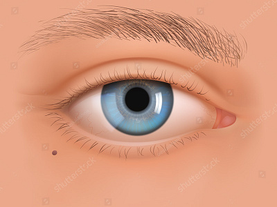 Vector eye of White cosmetics eye eyesight iris look makeup ophthalmology realistic surgery vector vision correction