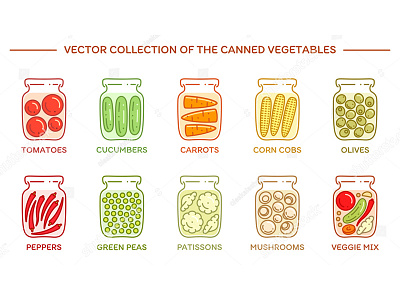 Pickled veggies canned flat greens icons line marinade pickled potted set vector vegetables veggies