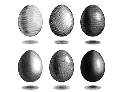 Vector engraving Eggs