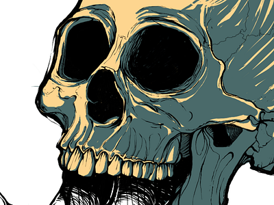 SketchbookPro Skull digital drawing sketch sketchbook pro skull
