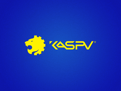 KASPV — Machinery group