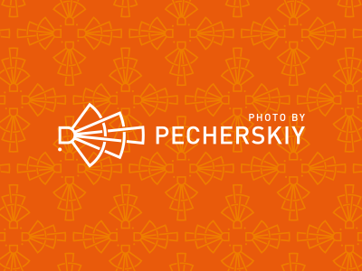 Pecherskiy photo camera logo photo view zoom