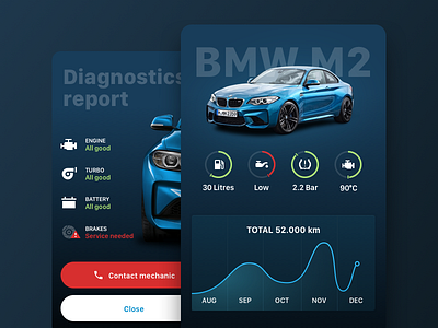 BMW Dashboard and diagnostics