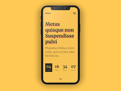 Daily UI – #014 Countdown Timer