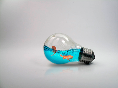 Fish in a Bulb black bulb fish gradient grey illustration in photoshop red fish shadow water