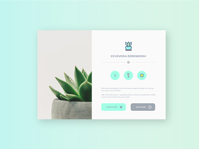 Plant app app concept design graphic green illustrator interface plant ui uidesign