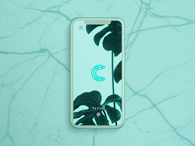 Celdarin app app concept design graphic identity letter logo logotype mark monogram ui
