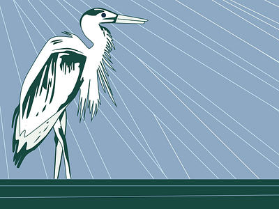 A Heron Waiting animals digital design digital illustration digitalart heron illustraion nature illustration water wildlife art