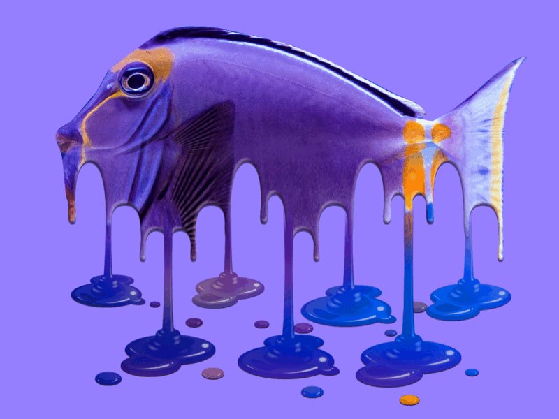 Melting Fish action actions design fish graphic design graphic art illustration melt meltdown melted melting melting picture photoshop photoshop action purple violet