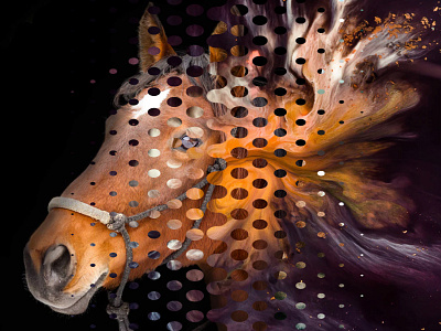 Seahorse action actions double exposure geometric gradient horse photoshop photoshop action wipe wipe out