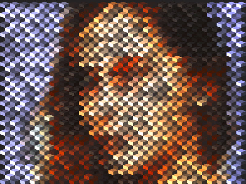 Box Portrait action actions animate gif animation design gif graphic design graphic art illustration mosaic pattern photoshop photoshop action