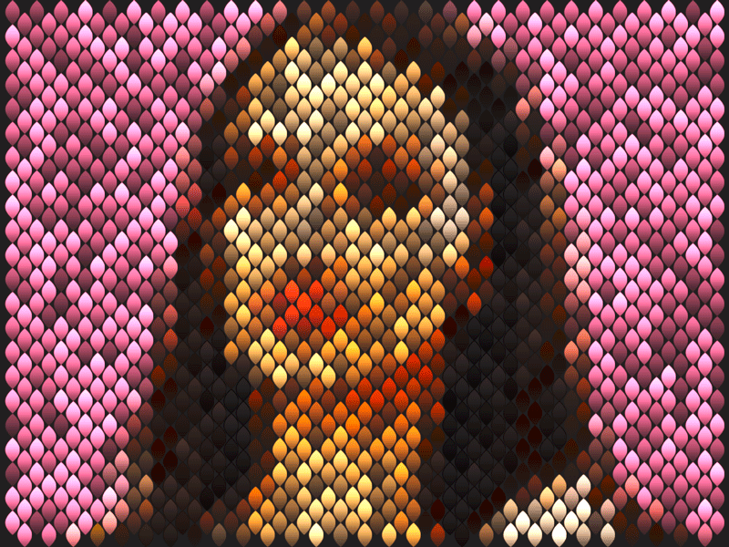 Flame Portrait action actions animated gif animation design gif graphic design graphic art illustration mosaic pattern photoshop photoshop action