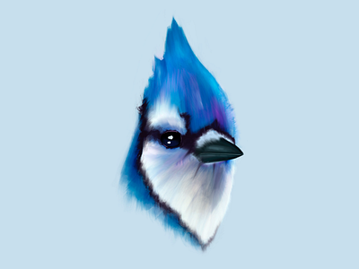 Toronto Blue Jay baseball blue illustration ipad jay paint pencil procreate six toronto toronto blue jays watercolor