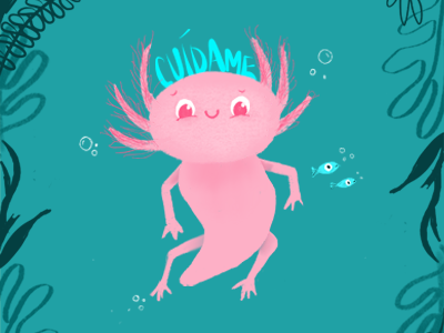 Ajolotes ajolote animal animal art axolotl illustrated animal illustration mexican mexico procreate sea creature