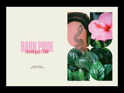 Dark Pink animation app branding concept design graphic interface mobile motion ui web