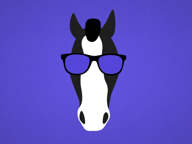 Cool Horse Guy
