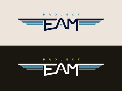 Project EAM Secondary Logo branding design logo logodesign typogaphy wings