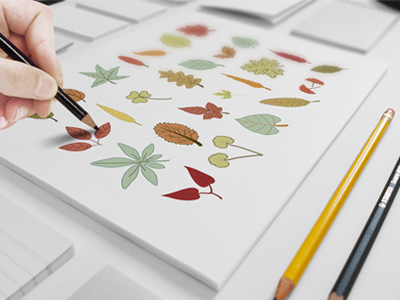 Hand Sketched Foliage Illustration/Vectors autumn doodle foliage handdrawn handsketched leaf vector