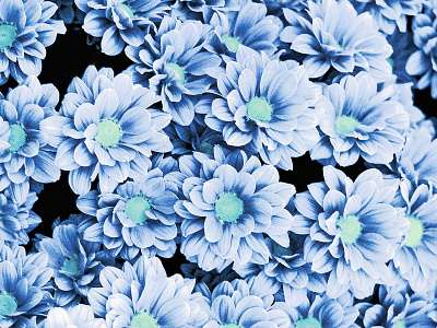 Darker blue botanical digital exotic floral flowers nature society6 tropical
