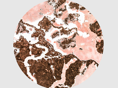 Blush And Bronze abstract blush bronze circle digital feminine geometrical marble metal minimal modern pink shapes