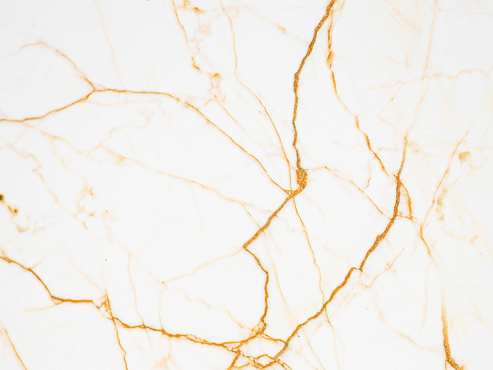 Gold And Marble by Uma Gokhale on Dribbble