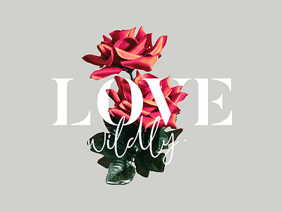 Love Wildly bloom blossom botanical exotic floral flowers graphic design love message nature passion pink quote rose roses soulmate tropical typography valentine wild