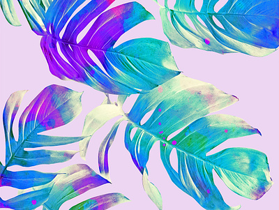 Monstera Leaves banana leaves botanical exotic forest graphic design green jungle leaves monstera nature pattern pink purple travel tropical watercolor wildlife