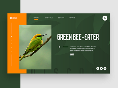 Wildlife UI Concept birds creative design identity modern typeface typography ui uiux ux web website