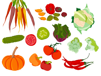 Vegatables illustration bold illustration broccoli carrot chili concept art cucamber pumpkin simple illustration tomato vegatable