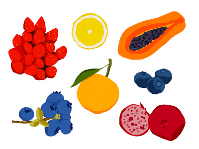 Fruit illustration blueberries fruit illustration illustration digital lemon papaya pomegranate strawberry tangerine