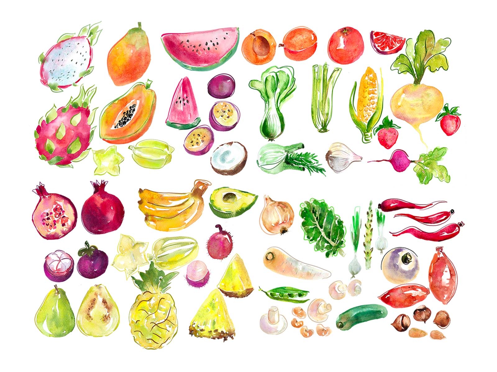 Fruit and vegetables watercolour illustration by Art Pages on Dribbble