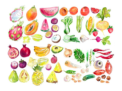 Fruit and vegetables watercolour illustration foodpackaging logofruit packagingdesign summerfruit watercolour illustration
